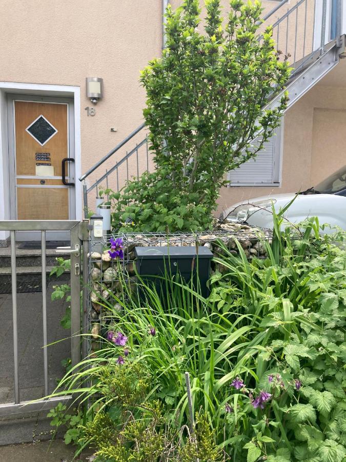 Toll Apartment Mit Privatem Eingang Free Parking Slbst Check-In Netflix 30 Zone Ruhig Дуйсбург Екстер'єр фото